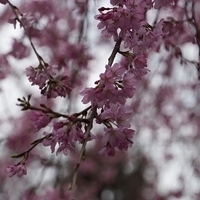 2014.03.29-183.JPG