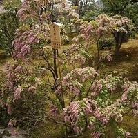 2014.03.29-186.JPG
