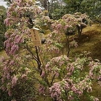 2014.03.29-187.JPG