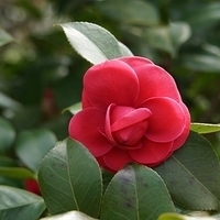 2014.03.29-188.JPG