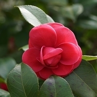 2014.03.29-189.JPG