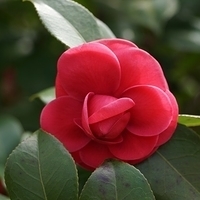 2014.03.29-190.JPG