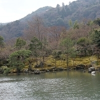 2014.03.29-195.JPG