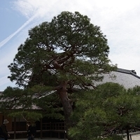 2014.03.29-199.JPG