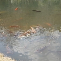 2014.03.29-202.JPG