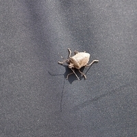 2014.03.29-204.JPG