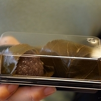 2014.03.29-226.JPG