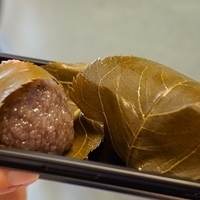 2014.03.29-227.JPG