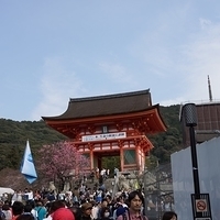 2014.03.29-245.JPG