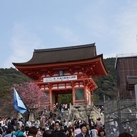 2014.03.29-246.JPG