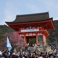 2014.03.29-247.JPG