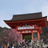 2014.03.29-248.JPG