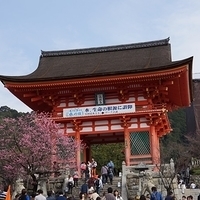 2014.03.29-249.JPG