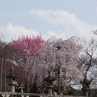 2014.03.29-250.JPG