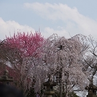2014.03.29-251.JPG