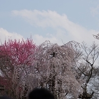 2014.03.29-252.JPG
