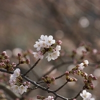 2014.03.29-266.JPG