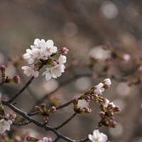 2014.03.29-267.JPG