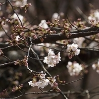 2014.03.29-268.JPG