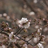 2014.03.29-269.JPG