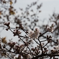 2014.03.29-270.JPG