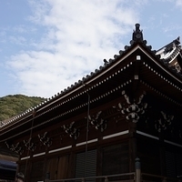 2014.03.29-272.JPG