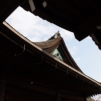 2014.03.29-273.JPG