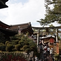 2014.03.29-278.JPG
