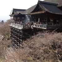 2014.03.29-279.JPG