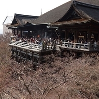 2014.03.29-281.JPG