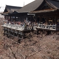 2014.03.29-282.JPG
