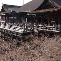 2014.03.29-283.JPG