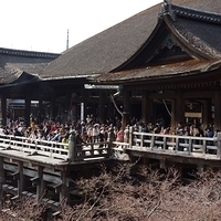 2014.03.29-285.JPG