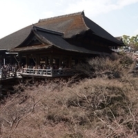 2014.03.29-286.JPG
