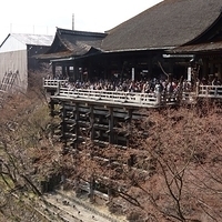 2014.03.29-288.JPG