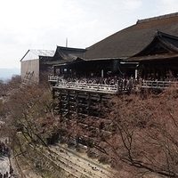 2014.03.29-289.JPG