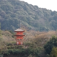 2014.03.29-297.JPG