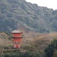2014.03.29-298.JPG