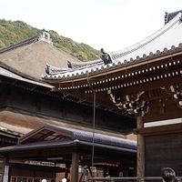 2014.03.29-318.JPG