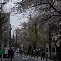 2014.03.29-366.JPG