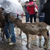 2014.03.30-003.JPG