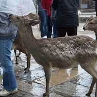 2014.03.30-004.JPG