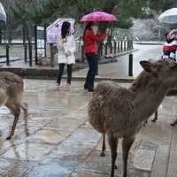 2014.03.30-005.JPG