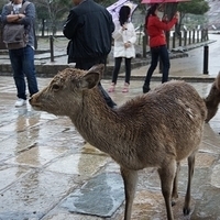 2014.03.30-006.JPG