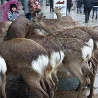 2014.03.30-007.JPG