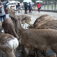 2014.03.30-008.JPG