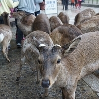 2014.03.30-010.JPG