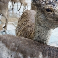 2014.03.30-011.JPG