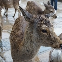 2014.03.30-012.JPG