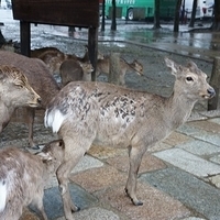 2014.03.30-013.JPG